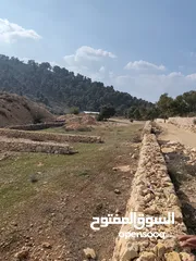  1 1600 متر للبيع في الصفا - حلحول