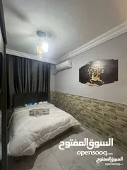  12 شقة مفروشة للإيجار في شميساني 280
