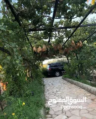  14 مزرعة مميزة و مشجرة للبيع بسعر مغري