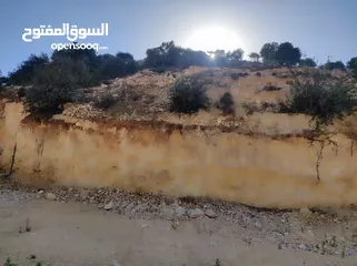  9 ارض للبيع 1000 متر طابو ابو نجيم