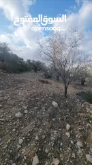  2 ارض للبيع من المالك مباشره