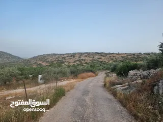  2 فرصة ارض للبيع بسعر مغري في طولكرم