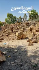  7 بيع و شراء كافة انواع الحطب والمزارع
