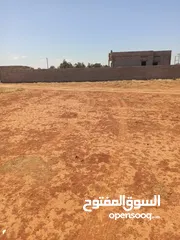  2 قطعه ارض 1000 متر سيدي خليفه