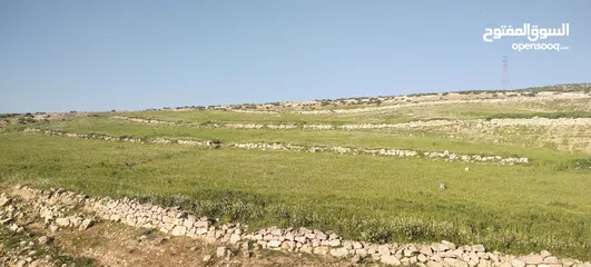  3 زينات الربوع قرب الترخيص