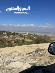  2 ابو موسى القواسمه
