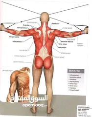  8 مدرب لياقه بدنيه وبناء أجسام ومدرب سباحه