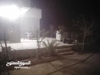  11 مزرعه شالية في منطقه سويمة قرب بحر الميت