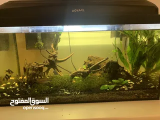  2 Fish tank with full equipment