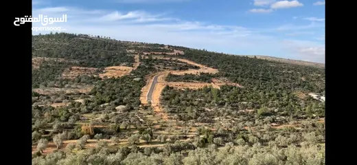  1 جفنا زعبوب 1355 متر على شارعين في المخطط الهيكلي حدود جفنا بيرزيت، مرتفعة ومطلة مقابل تلال بيرزيت