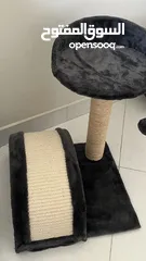  2 Not used cat tree