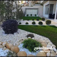  14 جميع أنواع الأشجار ( أشجار زينة - أشجار مثمرة )