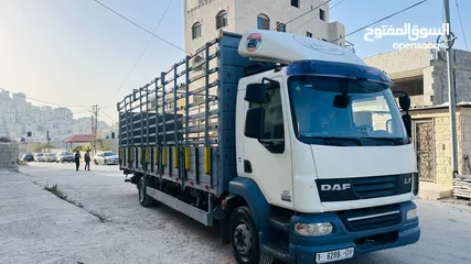  1 داف شصي طويل  2013  55-220 لون ابيض عاجي متوفر للبيع بسعر ممتاز  Daf Lf 55-220 شاحنه بوزن فارغ 8600