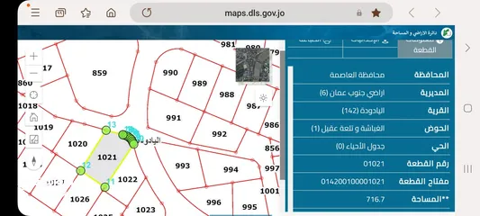  2 أرض للبيع عمان ضاحية الأمير علي/ طريق المطار منطقة فلل 