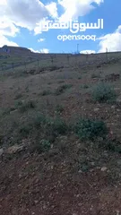  4 ارض زراعي منطقة شاليهات ومزارع للبيع