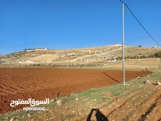  5 أرض في نادره دحل خربة المطوي شرق جرش