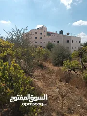  4 ارض دائره السير