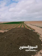  6 ارض  للزراعه لكل المحاصيل قريبه من آبار المياه