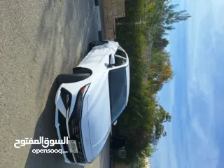  1 انس احمد بعيرات