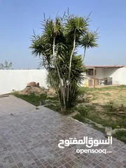  3 منزل أو استراحة