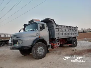  3 قلاب فطسة للبيع