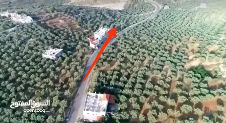  7 ارض للبيع فى عصيرة الشمالية، طابو نابلس، كوشان مستقل لخمسة اسخاص، كل شخص يضع سنسال على حصته