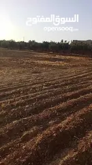  2 أرض مميزة للبيع – أم رمانة / جنوب عمان فرصة استثمارية رائعة للبناء ڤيلا خاصه من أجمل مناطق جنوب