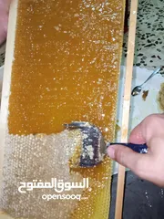  2 عسل و مناحل الضفتين تعلن عن توفر عسل طبيعي 100%و مكفول ويمكنك التذوق  اذا ما عجبك ما تخذ على ضمانتي