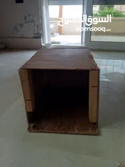  9 قطة انثى شيرازي هملايا للتبني مجانا عمر تسع اشهر مع ملحقاتها غير مؤذية وتحب اللعب و نظيفة