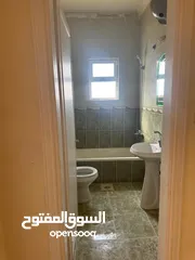  4 شقه فارغه للايجار شارع الجامعه الاجره شهريه 240