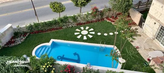  12 furnished villa for rent in al rabiah  ( Property 41482 )-174804636