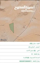  1 قطعة أرض مساحة 16.5 دونم من أراضي جنوب عمان قرية عليان قضاء أم الرصاص