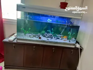  2 Aquarium for sale