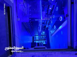  29 محل كافتيريا