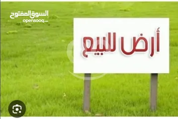  7 فرصة استثمارية ذهبية – أرض للبيع في روجيب نابلس تصلح لسكن او لمشروع تجاري تصنيف B متوفر كافة الخدمات