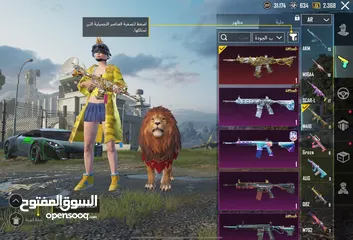  1 حساب ببجي حصريي