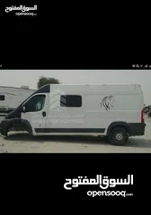  8 قالوصة الخيول