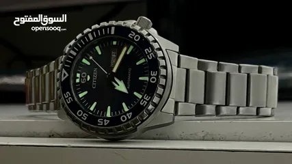  13 Citizen 8200-S109736 Automatic watch