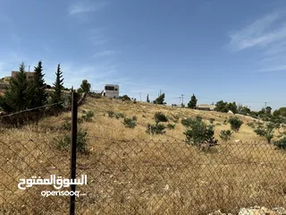  8 ارض 3400م2 للبيع في صروت حوض المرح الأصفر إطلالة مميزة حولها مزارع