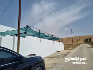  24 مزرعه للبيع  5 دونمات مع بيت