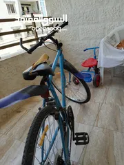  1 بسكليت للبيع