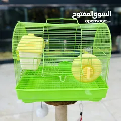  13 هامستر واقفاص الهامستر