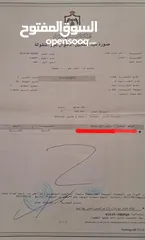  5 نمرة 625 متر خلف فندق مطار الملكة علياء تصلح لشاليه