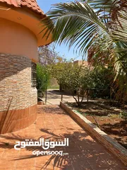  16 مزرعه مع بركه الغور منطقه الشميساني
