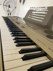  3 اورغ كاسيو casio at 5
