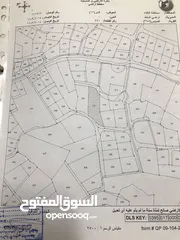  2 أرض 2446م للبيع بالفحيص بعد مدرسة البكالوريا على شارعين