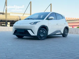  24 بي واي دي سيجال  ممشى قليل لون بيج
