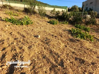  5 ارض للبيع في عجلون/ عنجرة منطقة أبو حاطوم مقابل مطحنة ابو نصير