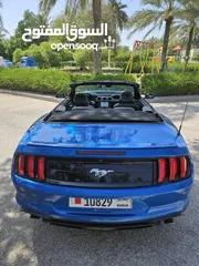  23 Mustang Black Interior, Blue Metalic Body, 2020 - 64 KM convertible