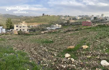  3 قطعة ارض للبيع في بلدة صرة